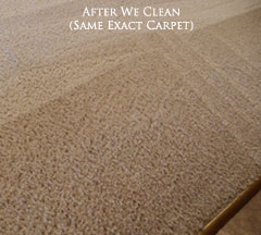 Cleaned Carpet